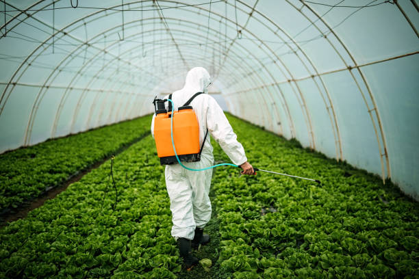 Best Best Pest Control Companies  in Fair Grove, MO