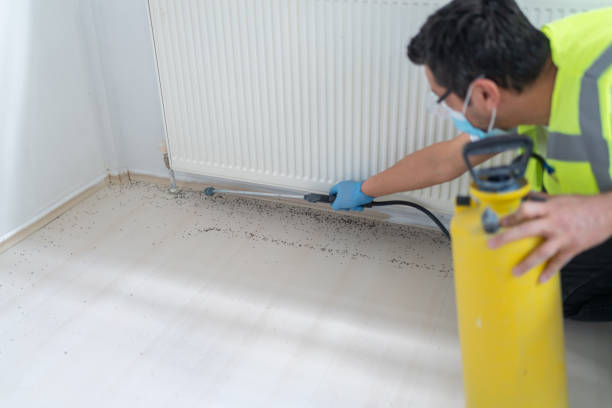Best Residential Pest Control  in Fair Grove, MO